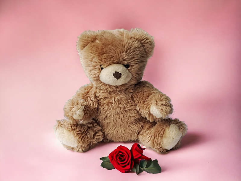 Made in Germany Bear