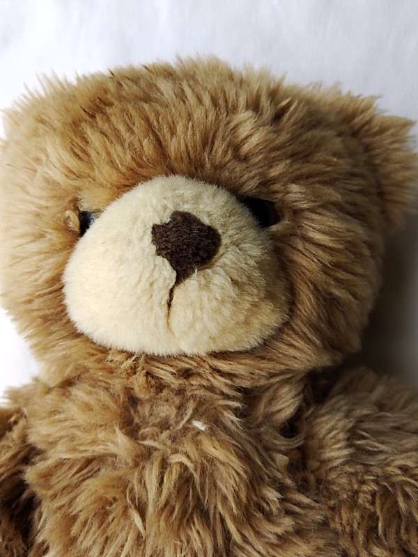 Made in Germany Bear