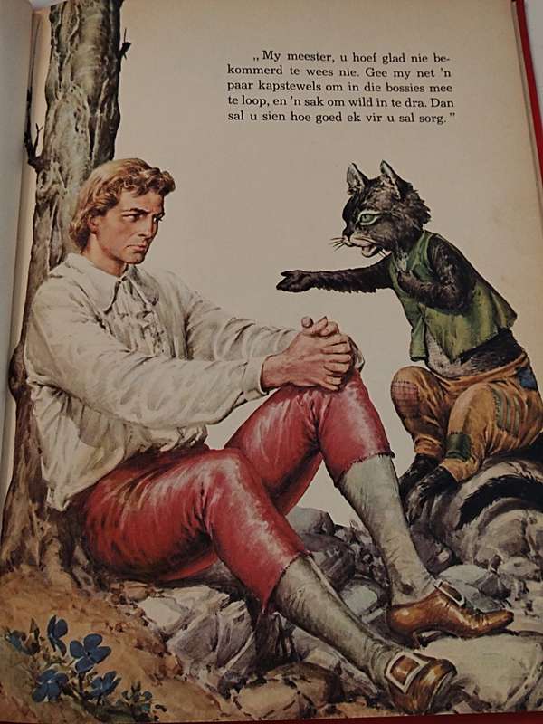 Die Gestewelde Kat boek