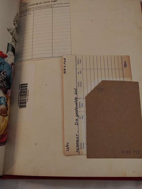 Die Gestewelde Kat boek
