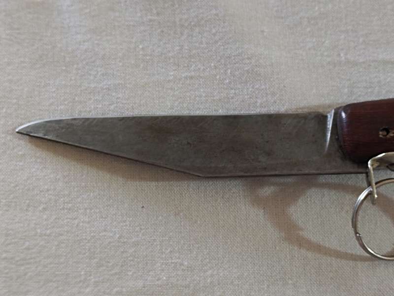 Okapi Made in South Africa (a)
