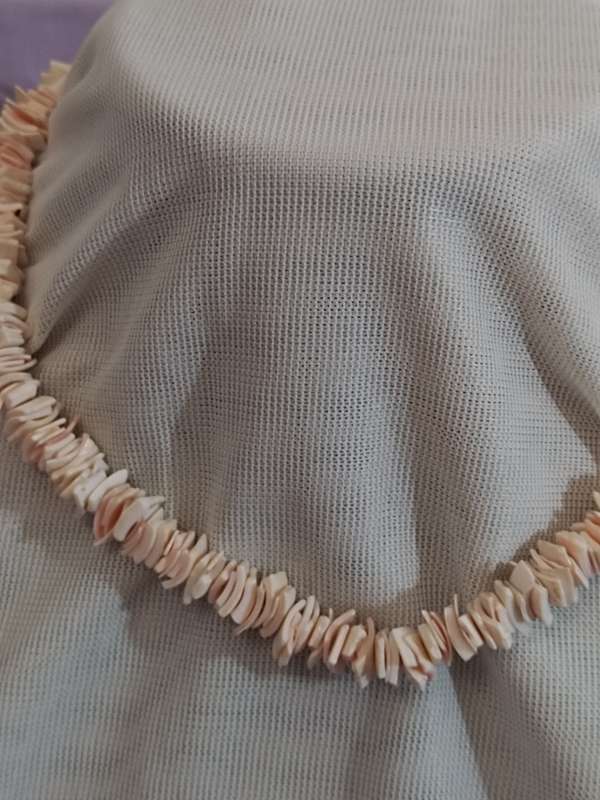 Vintage sea shell necklace
