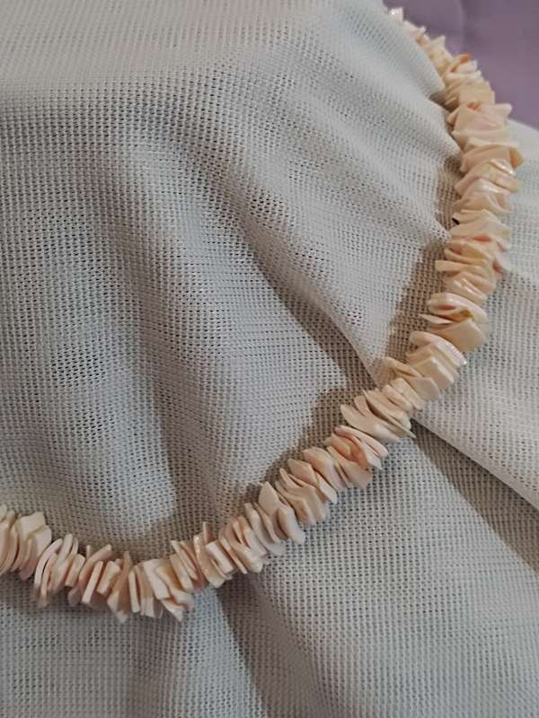 Vintage sea shell necklace