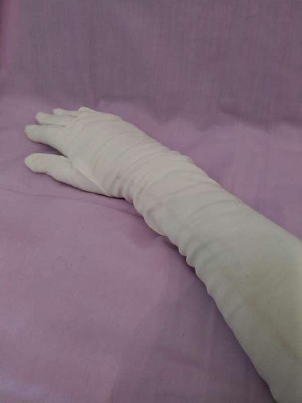 Long Pair of Vintage gloves