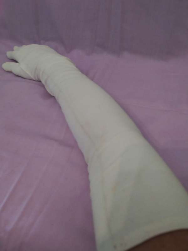 Long Pair of Vintage gloves