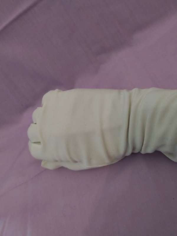 Long Pair of Vintage gloves
