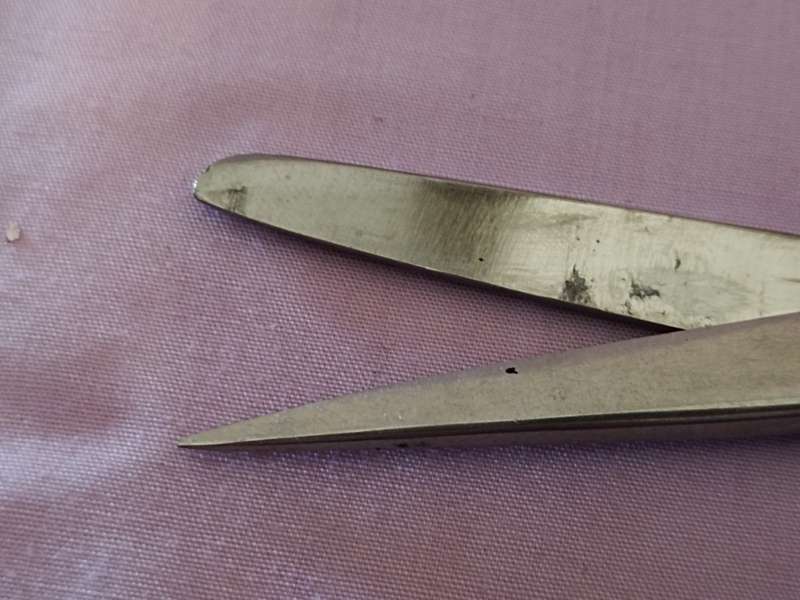 Medical Stainless steel Scissors