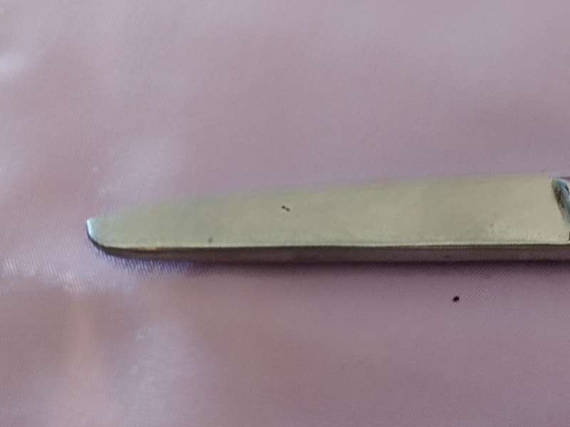 Medical Stainless steel Scissors