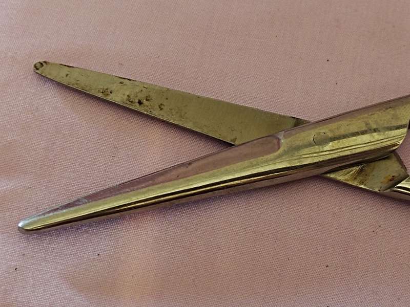 Medical Stainless steel Scissors (a)
