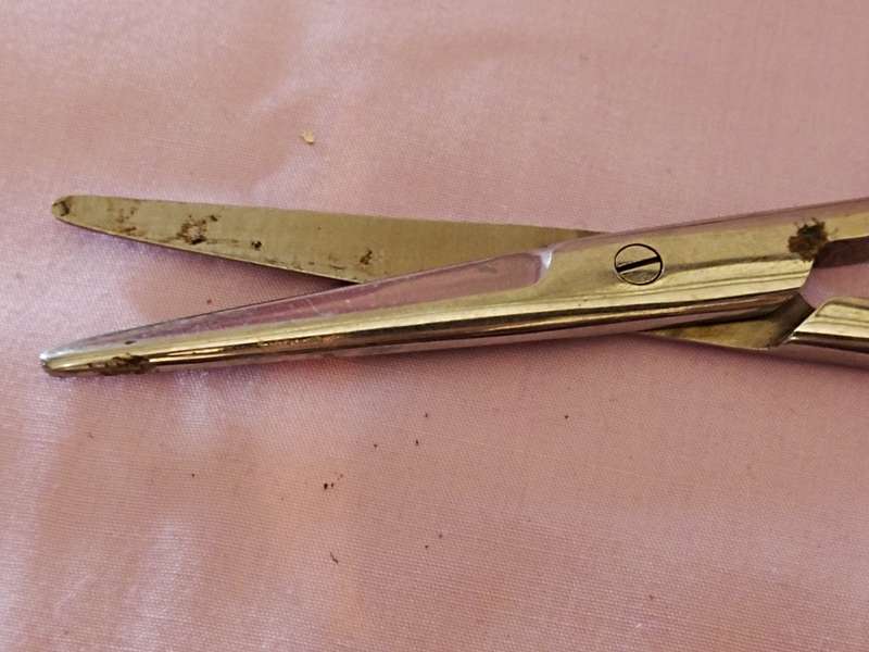Medical Stainless steel Scissors (a)