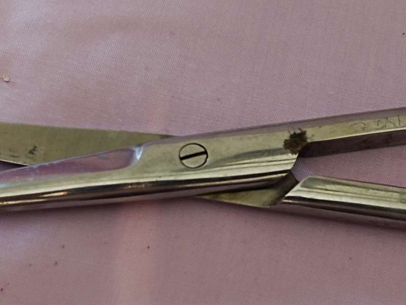 Medical Stainless steel Scissors (a)