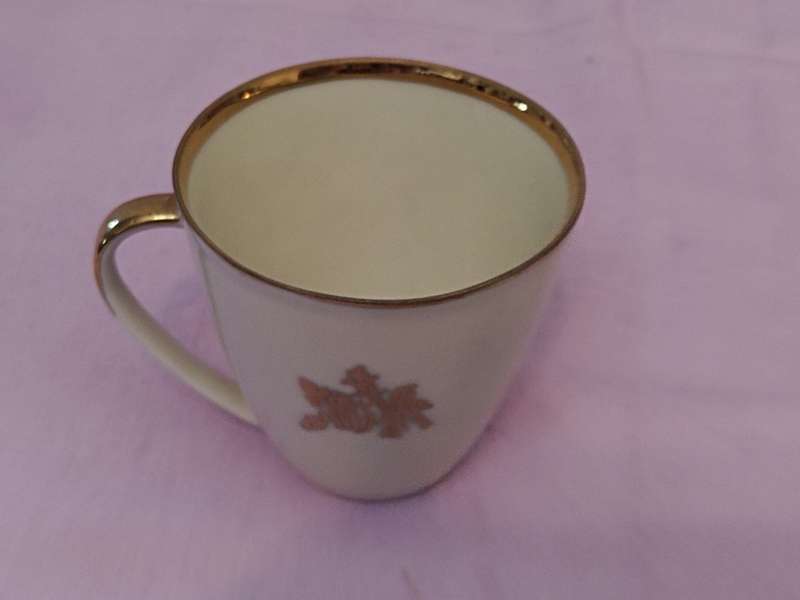 Gloria Fine Porcelain  Western Germany coffee duo(b)