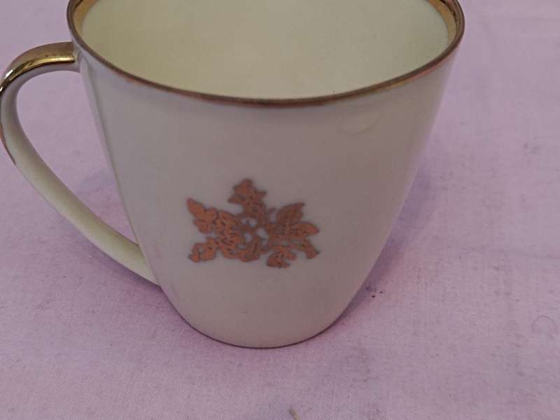 Gloria Fine Porcelain  Western Germany coffee duo(b)