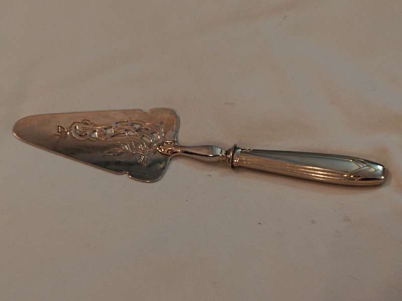 Fabiora Paris French Cake Lifter