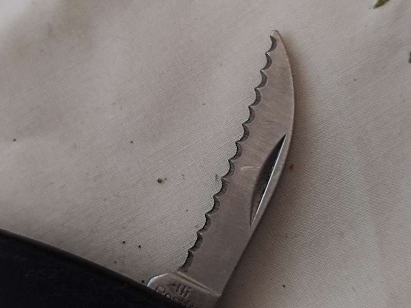 Vintage Guronsan C Rostfrei Waiters Knife