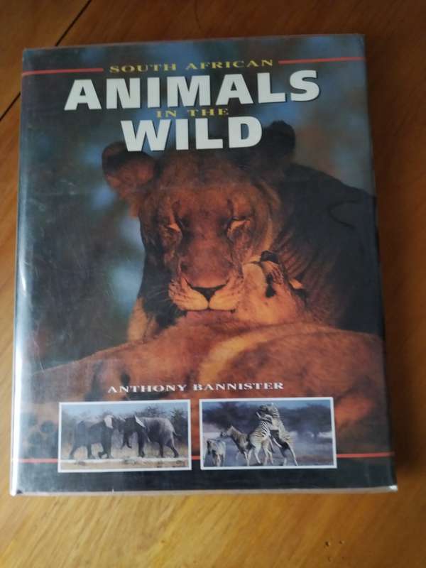 South African Animals in the wild
