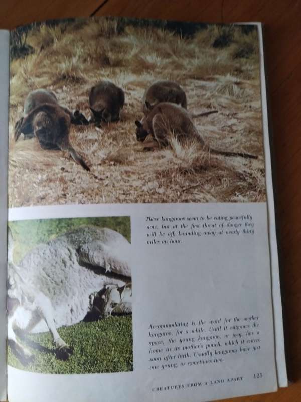 The Wonderful worlds of Walt Disney, Worlds of Nature