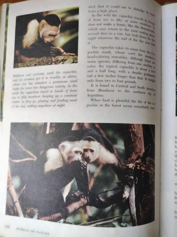The Wonderful worlds of Walt Disney, Worlds of Nature