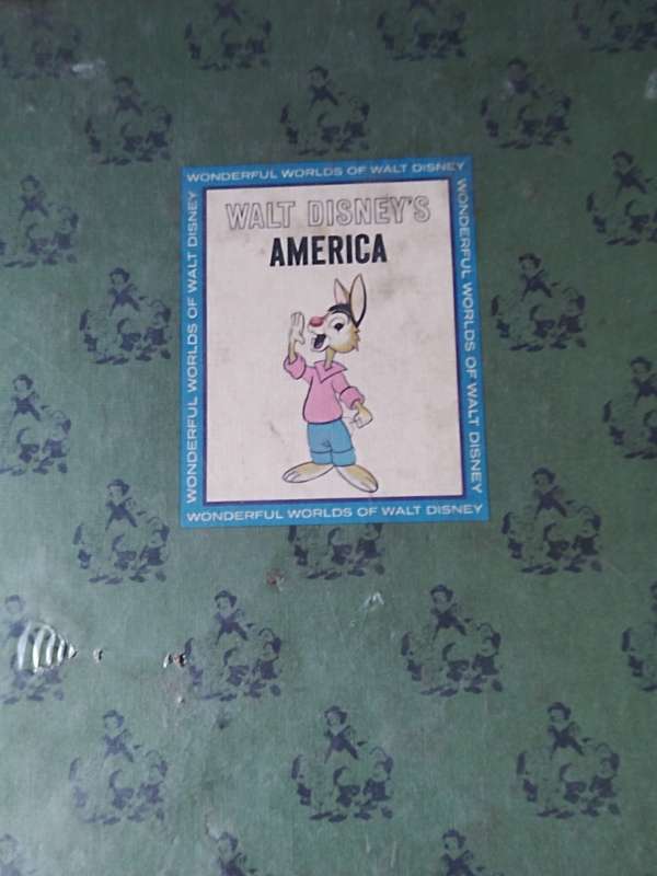 The wonderfully world of Walt Disney America