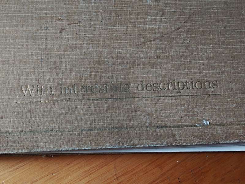The German Rhine book