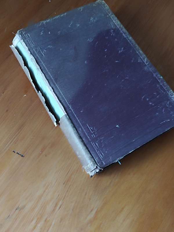 Miscellaneous Papers by J G  Bellett