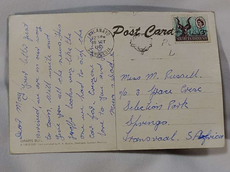 Giraffe Bull: A Veld life card publish by R. A. Bouriay Greendale, Southern Rhodesia post card