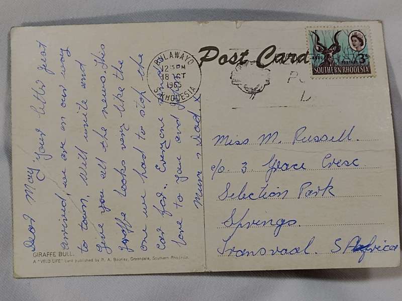 Giraffe Bull: A Veld life card publish by R. A. Bouriay Greendale, Southern Rhodesia post card