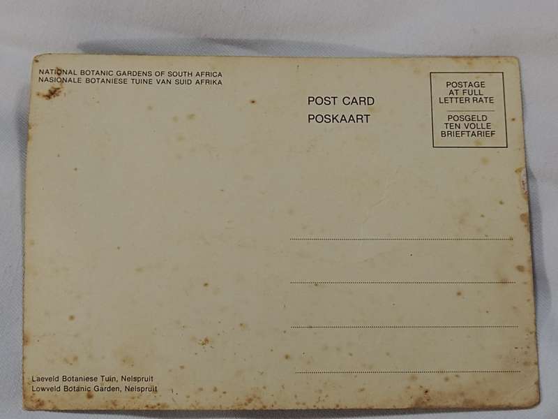 National Botanic Gardens South Africa postcard