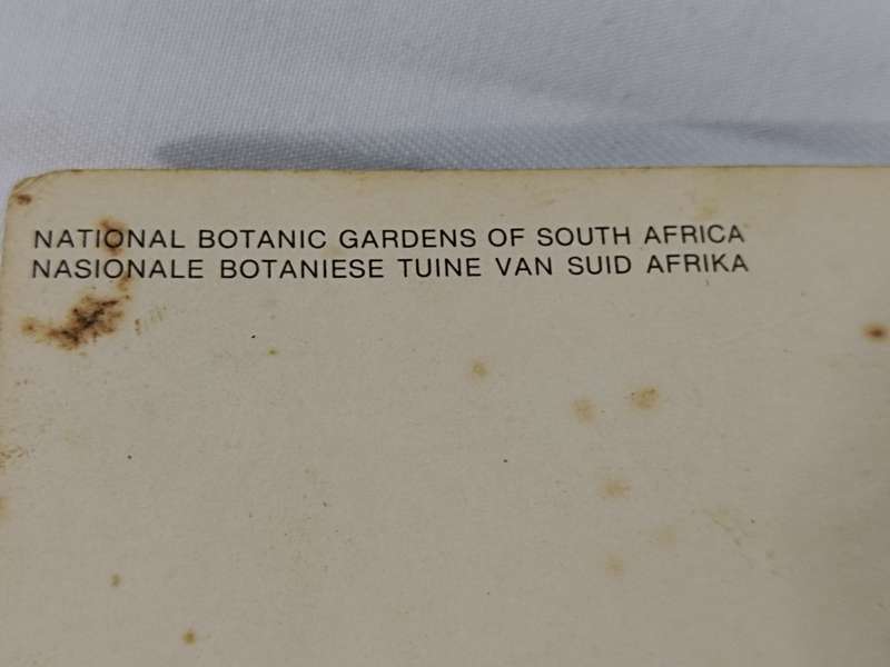 National Botanic Gardens South Africa postcard