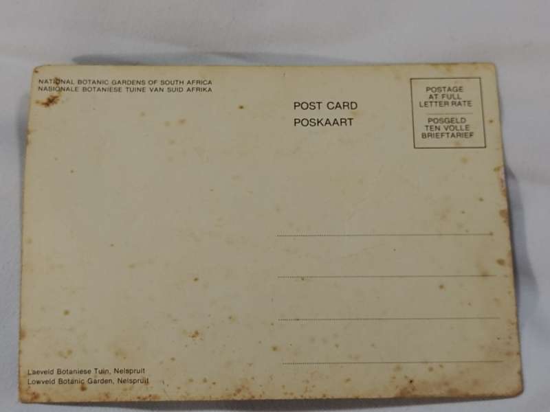 National Botanic Gardens South Africa postcard