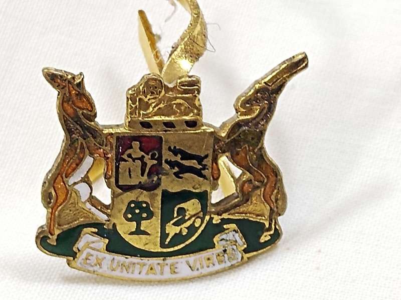 RANK INSIGNIA OF THE SOUTH AFRICAN ARMED FORCES EX UNITATE VIRES CAP BADGE