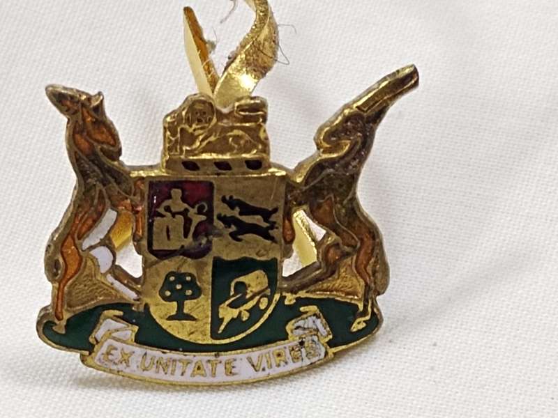 RANK INSIGNIA OF THE SOUTH AFRICAN ARMED FORCES EX UNITATE VIRES CAP BADGE