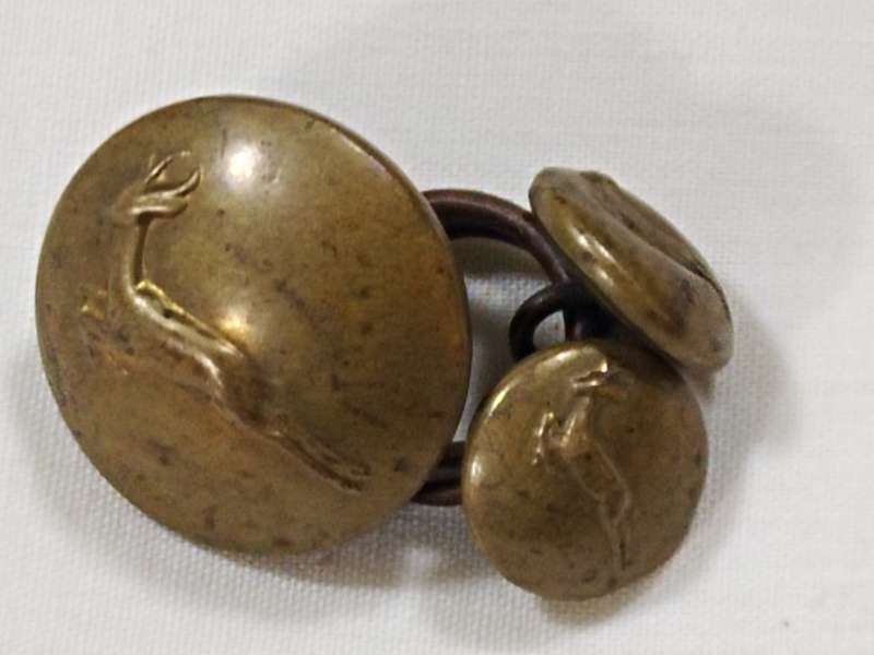 South African Infantry brass buttons