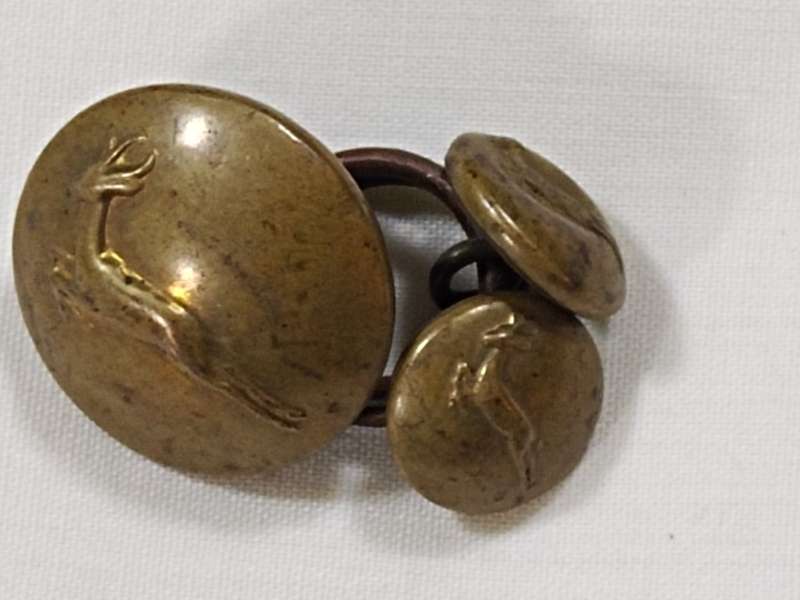 South African Infantry brass buttons