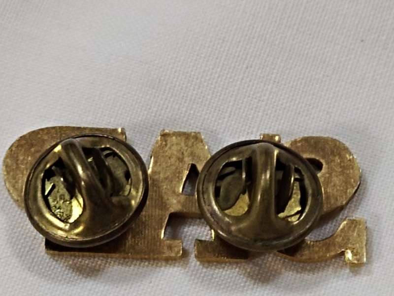 Brass SAP badges