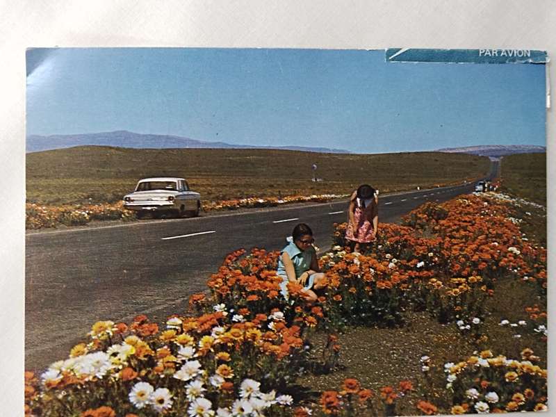 Postcards: S. A. R. Publicity & Travel Dept