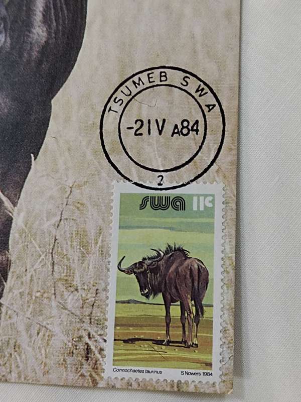 Postcards: 1984-04-02 Blouwildebees/Blue wildebeest-Gnu