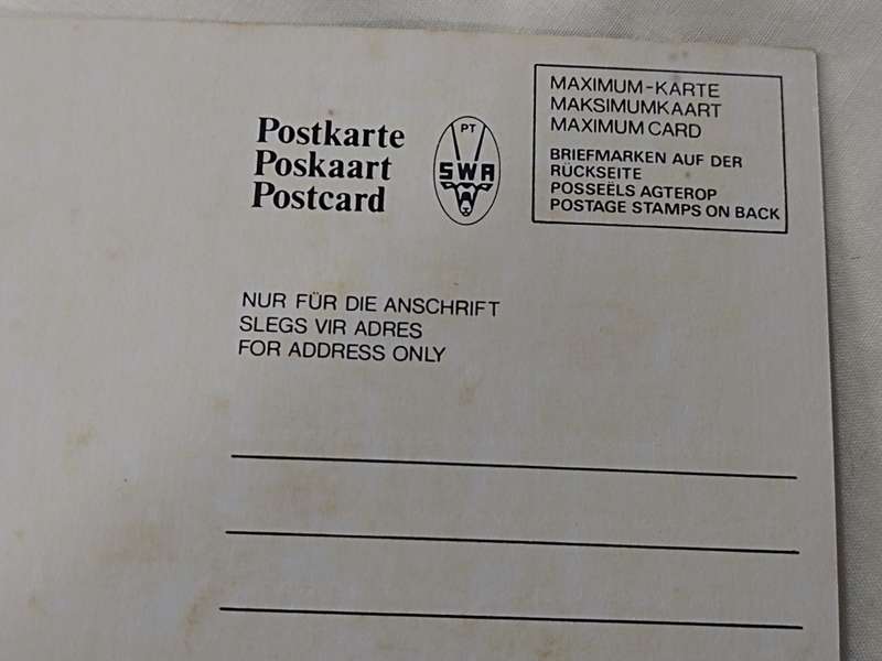 Postcards: 1984-04-02 Blouwildebees/Blue wildebeest-Gnu