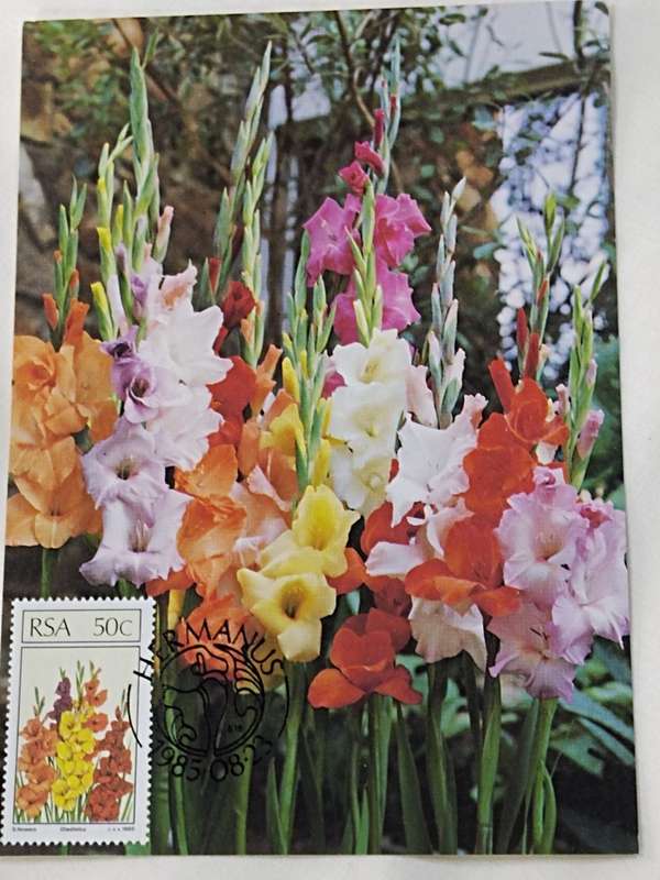 Postcards: SA Floral emigrants/SA Blomemigrante