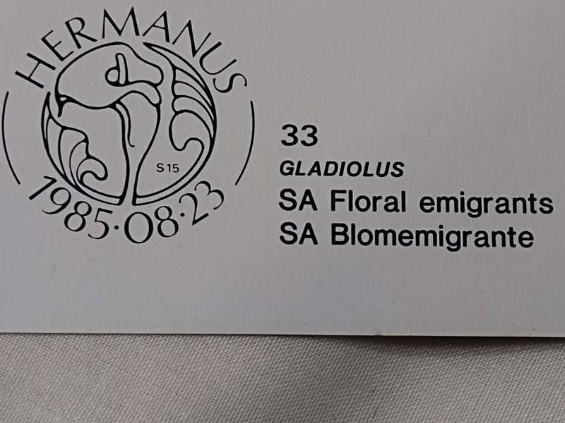 Postcards: SA Floral emigrants/SA Blomemigrante
