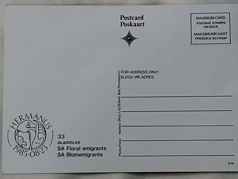 Postcards: SA Floral emigrants/SA Blomemigrante
