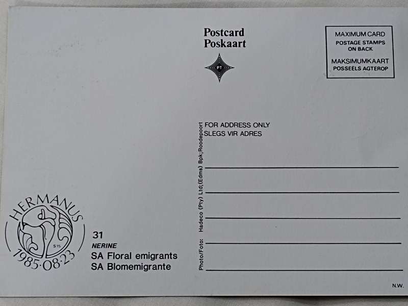 Postcards: SA Floral emigrants/SA Blomemigrante