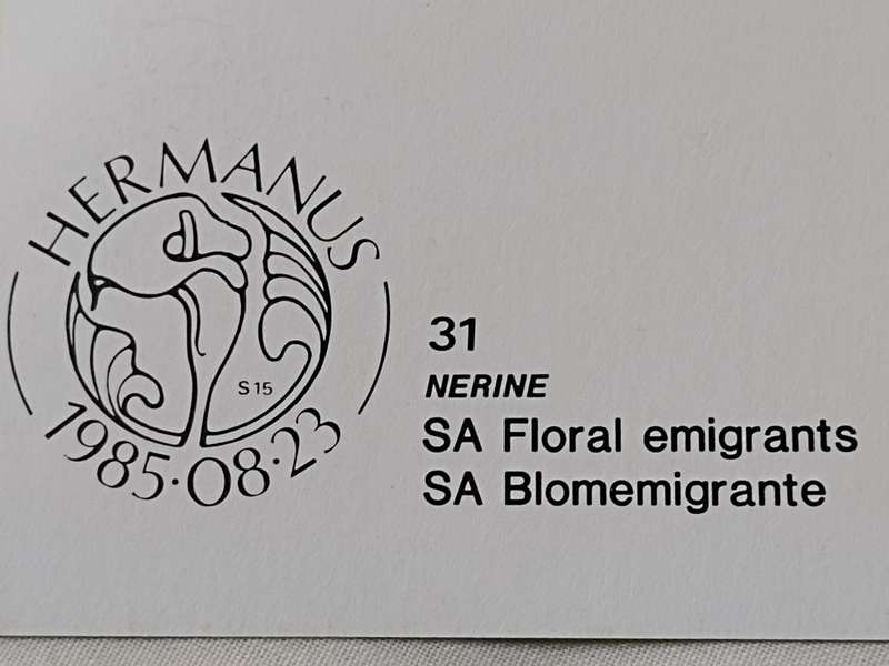 Postcards: SA Floral emigrants/SA Blomemigrante