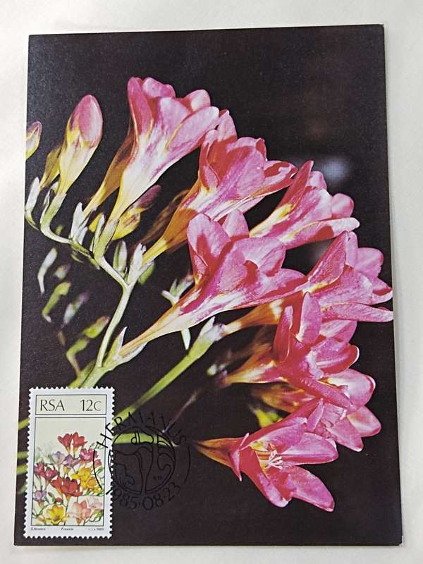 Postcards: SA Floral emigrants/SA Blomemigrante