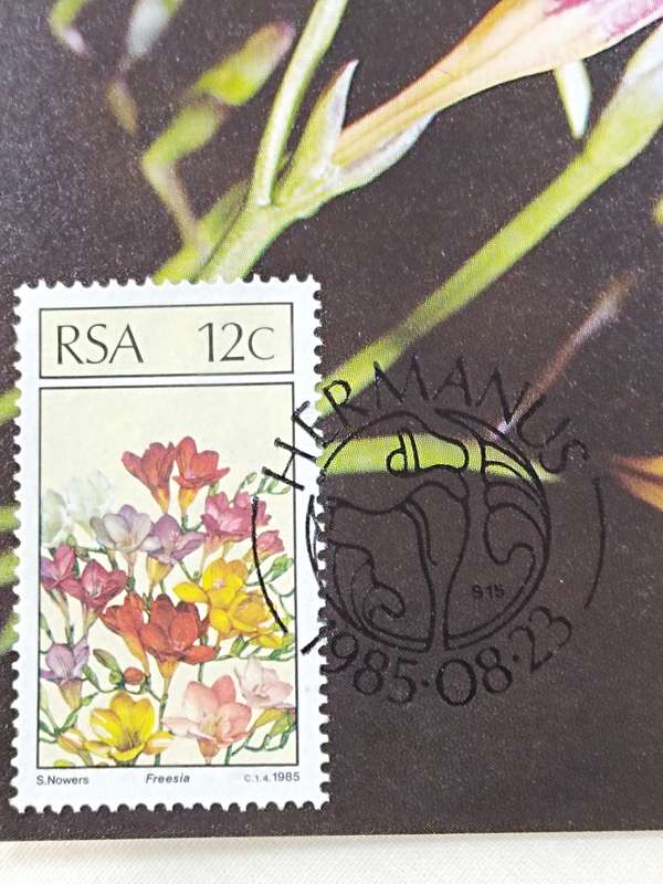 Postcards: SA Floral emigrants/SA Blomemigrante