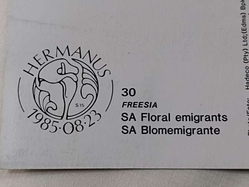 Postcards: SA Floral emigrants/SA Blomemigrante