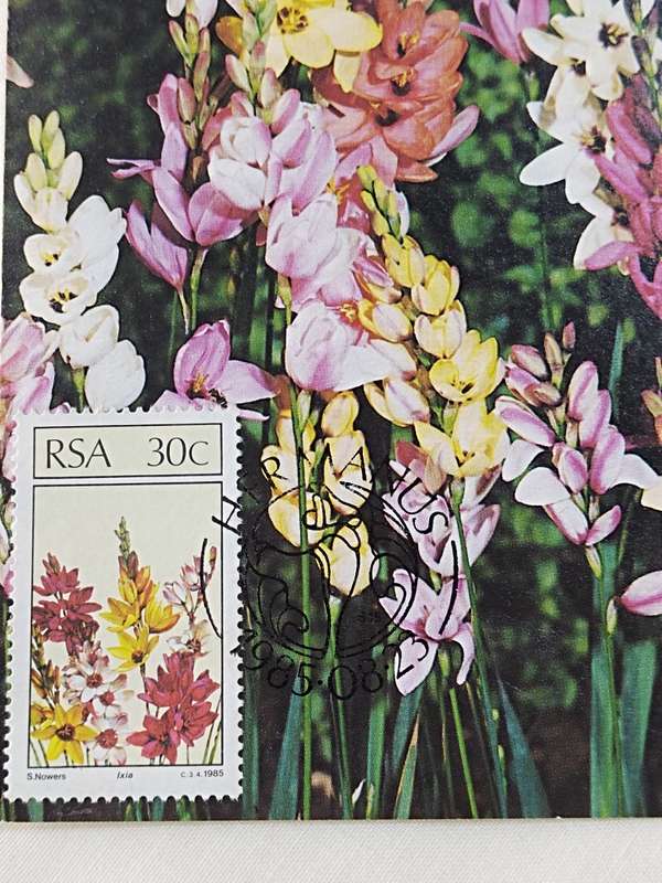 Postcards: SA Floral emigrants/SA Blomemigrante