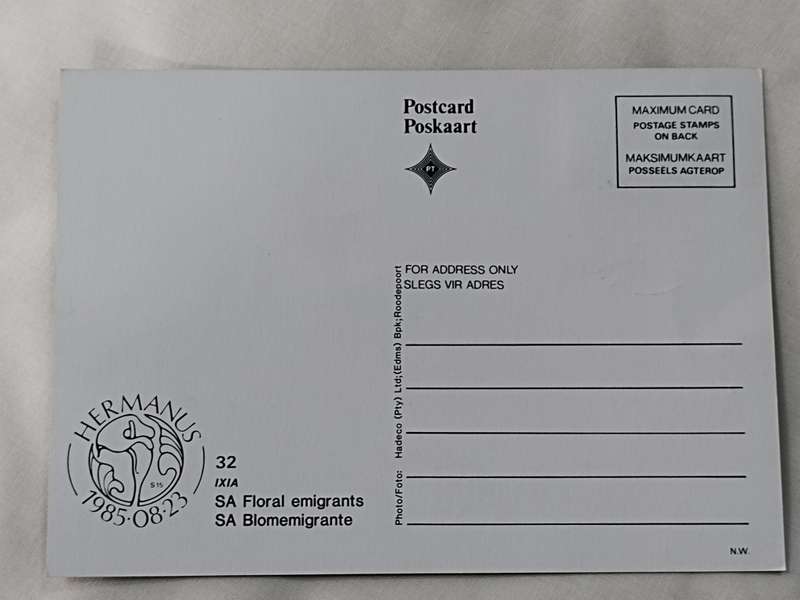 Postcards: SA Floral emigrants/SA Blomemigrante