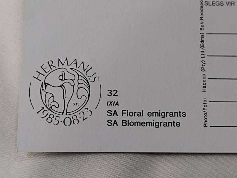 Postcards: SA Floral emigrants/SA Blomemigrante