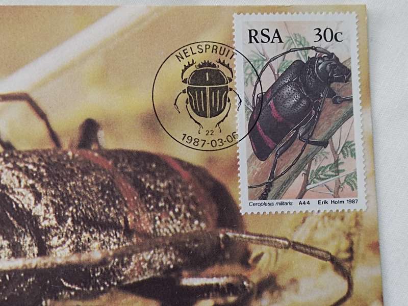 Postcard: Beetles/Kewers